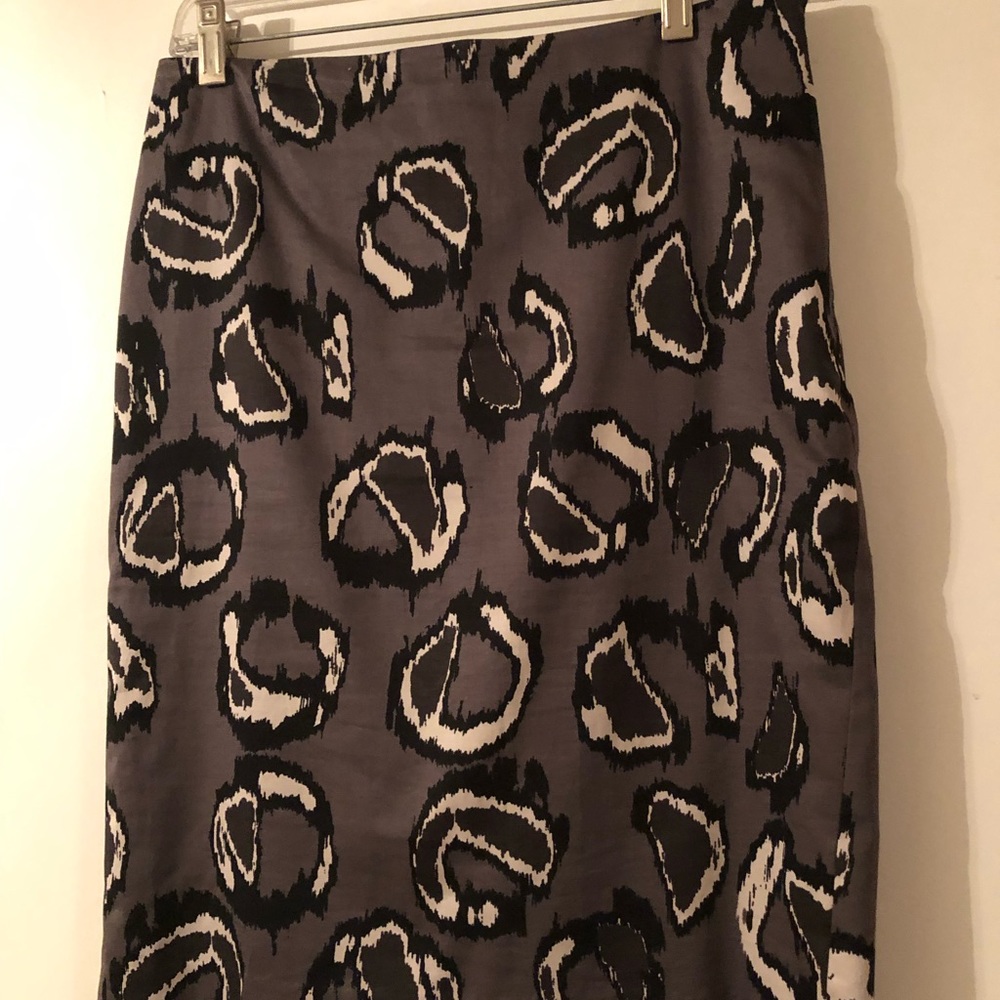 Ann Taylor skirt